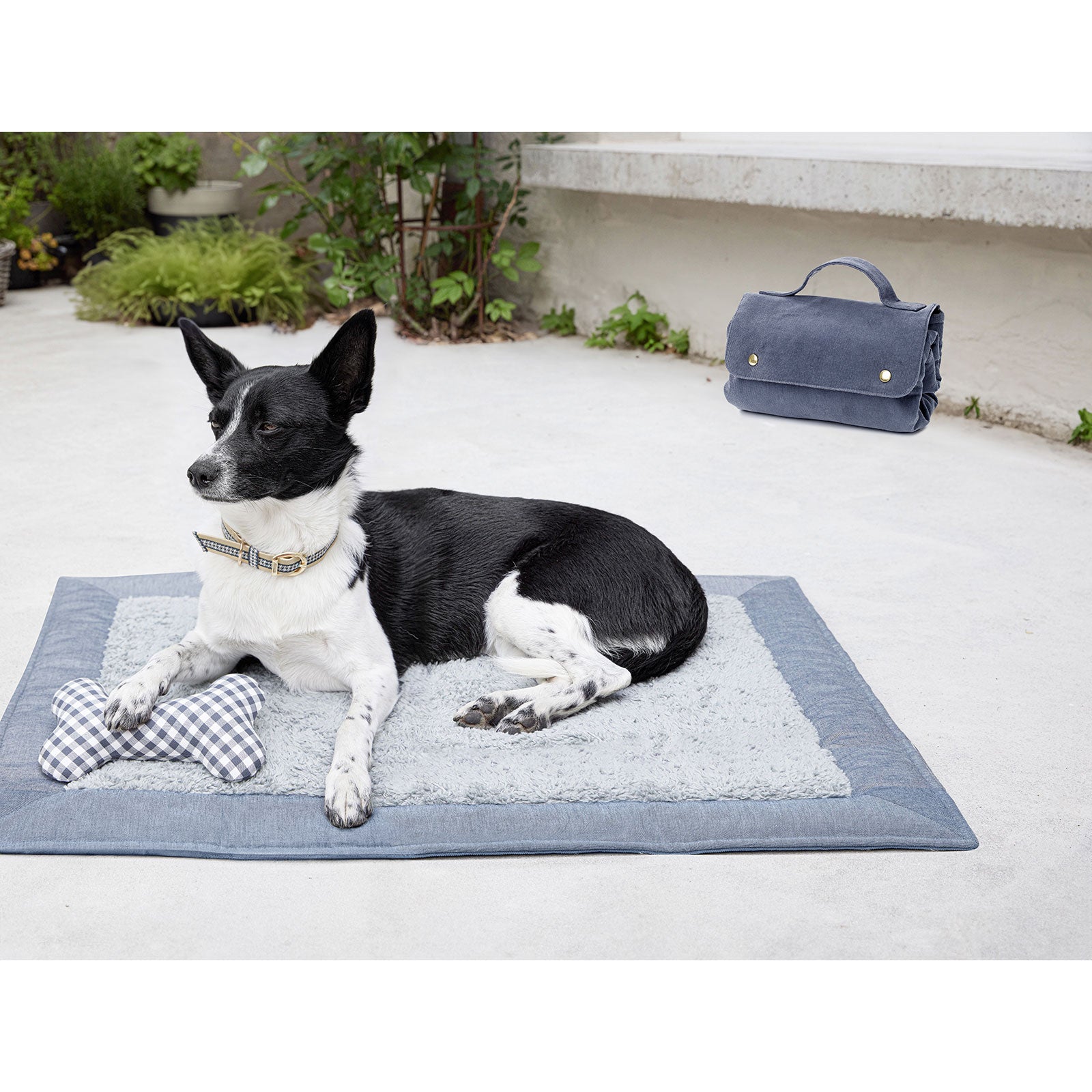 Burda 5702 honden accessoires