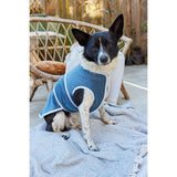 Burda 5702 honden accessoires
